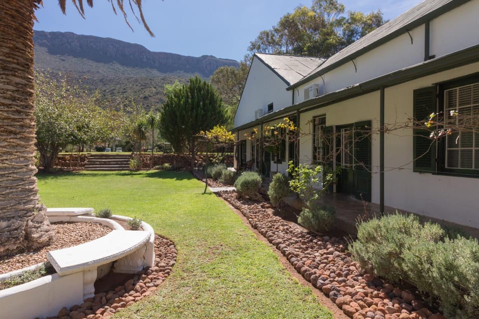 Garden, Mountain view