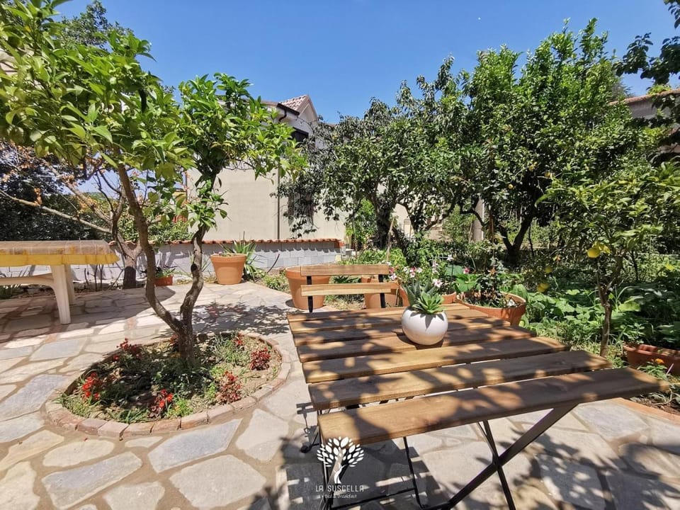 Patio, Garden