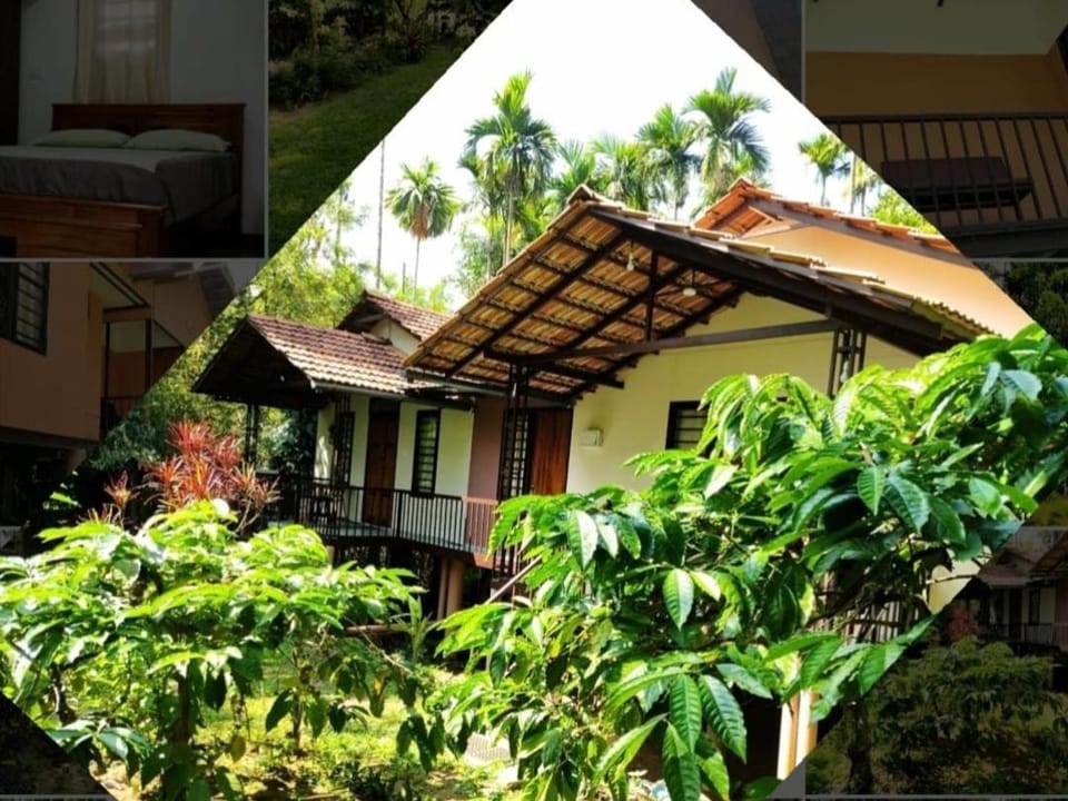 Family villa .hut Apartment in Kerala