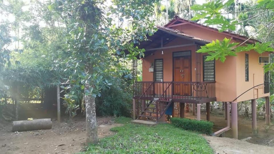 Family villa .hut Apartment in Kerala