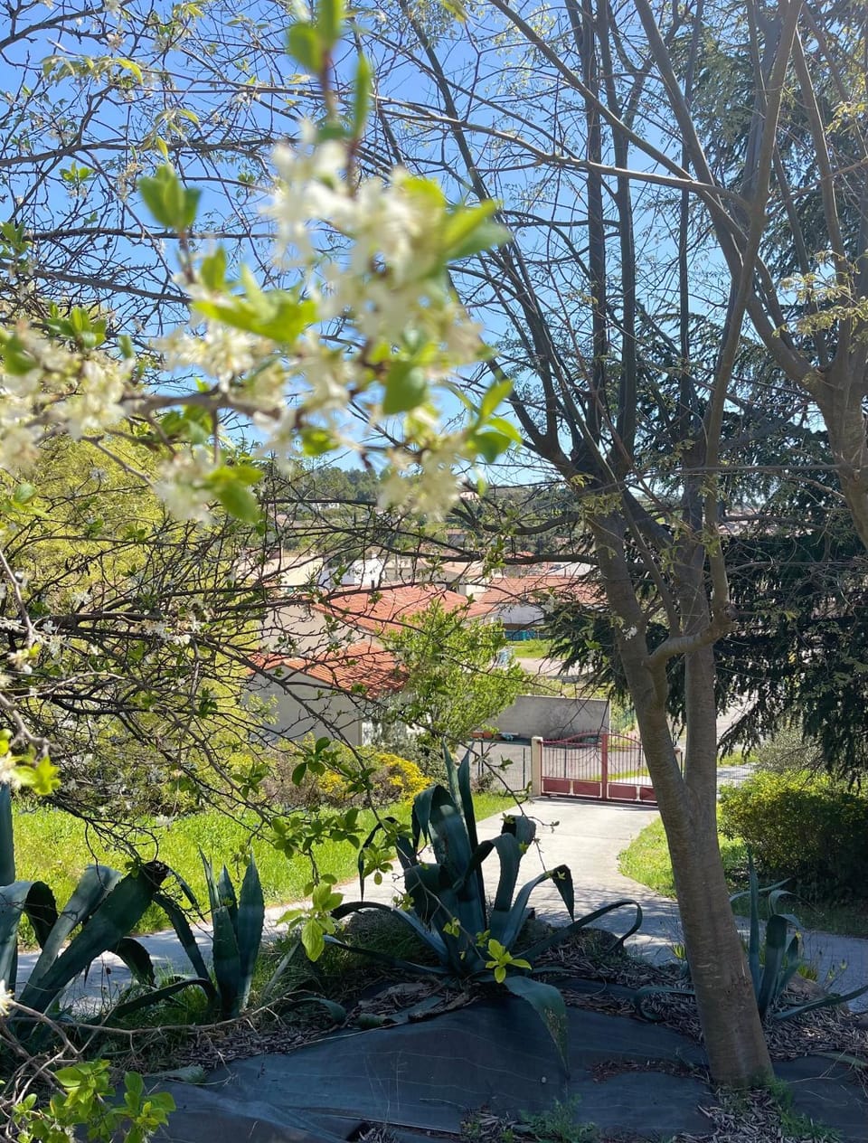 Garden, Garden view