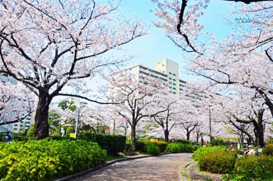Nearby landmark, Off site