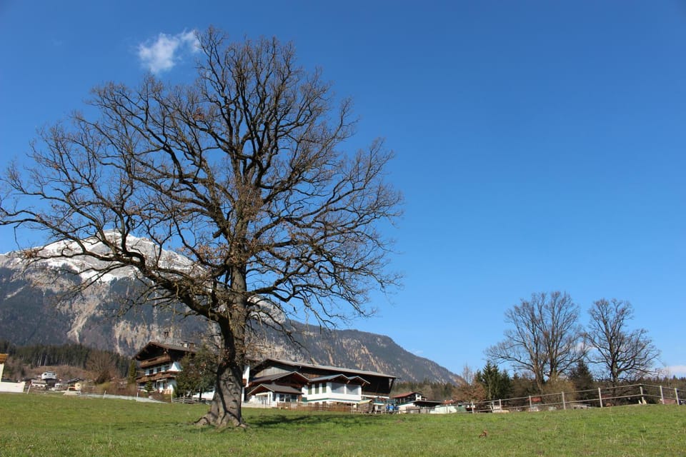 Natural landscape