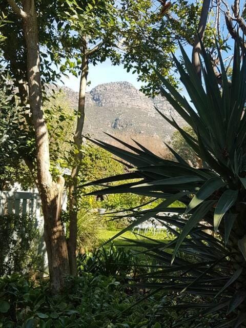 Natural landscape