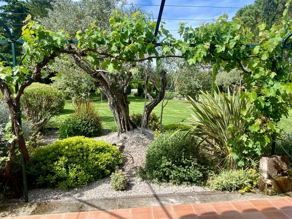 Natural landscape, Garden, Garden, Garden view