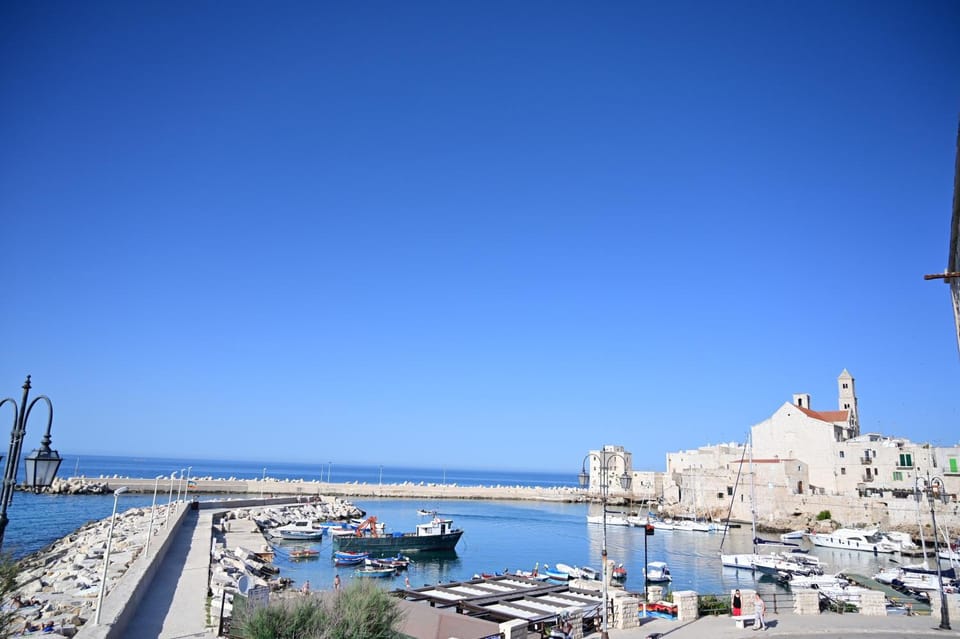 Sea view