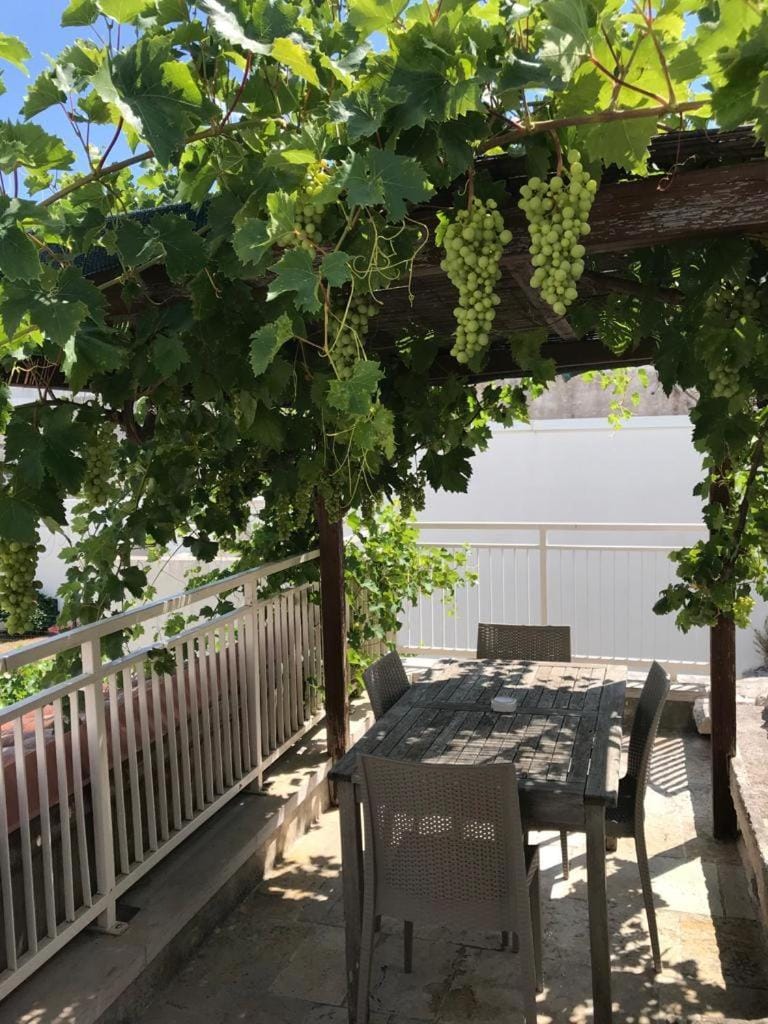 Trullimania Bed and Breakfast in Province of Taranto