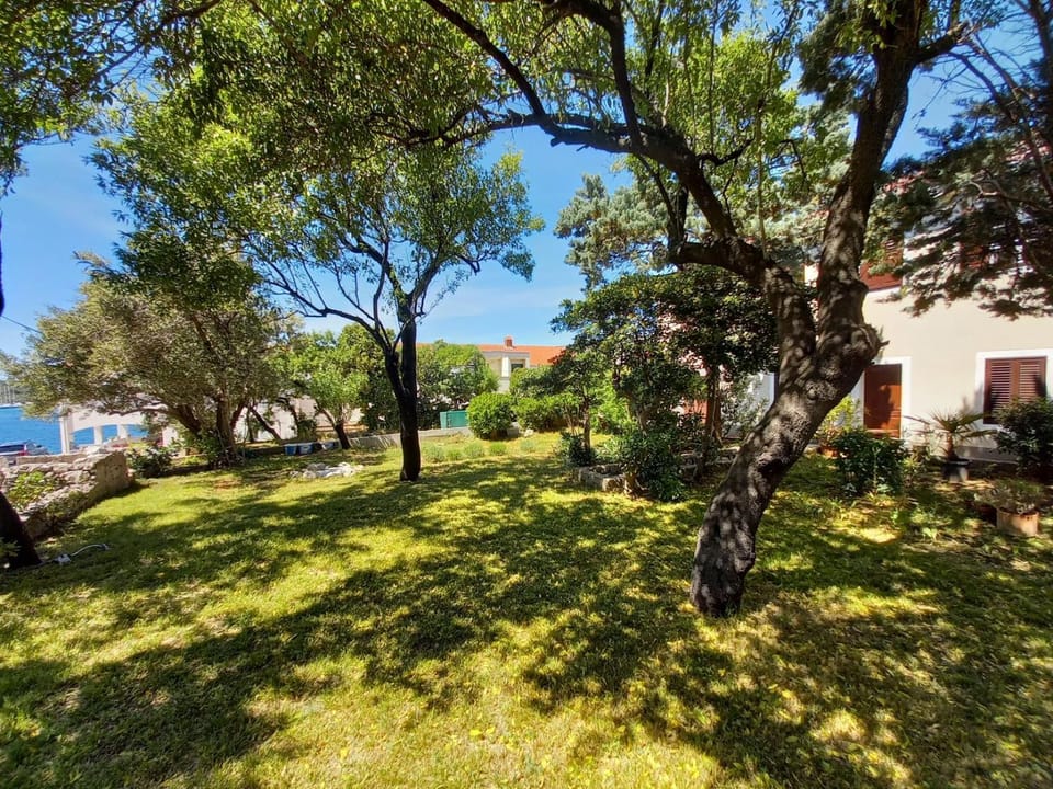 Property building, Garden