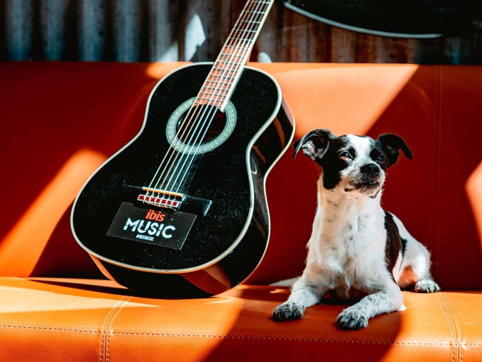 Property building, Lobby or reception, Pets