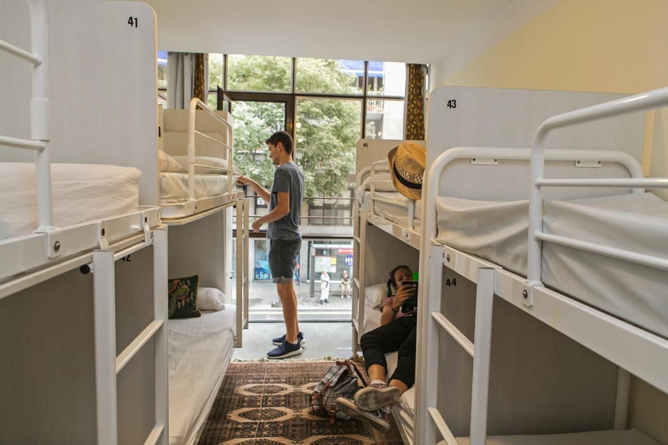 Bedroom, group of guests, bunk bed