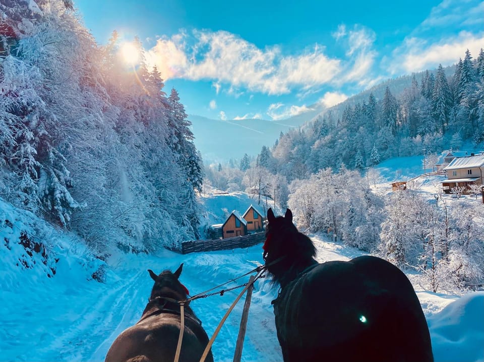 BagriWood Lodges (Лоджі БагріВуд) Chalet in Ukraine