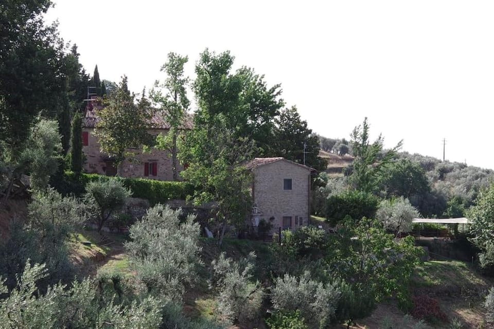 Villa Vestra in Vinci holiday home House in Emilia-Romagna