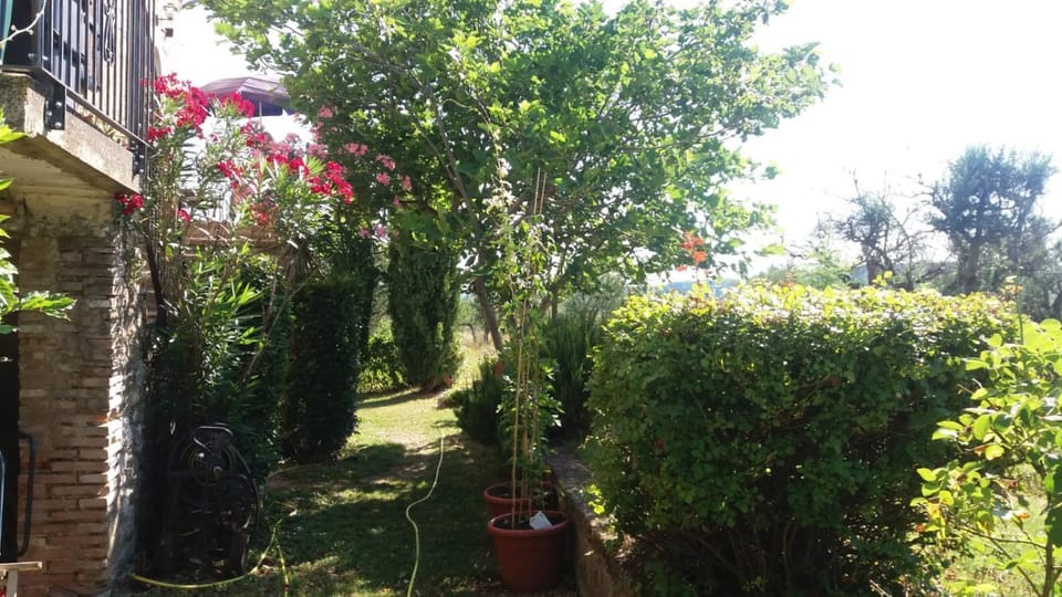 Garden, Garden view