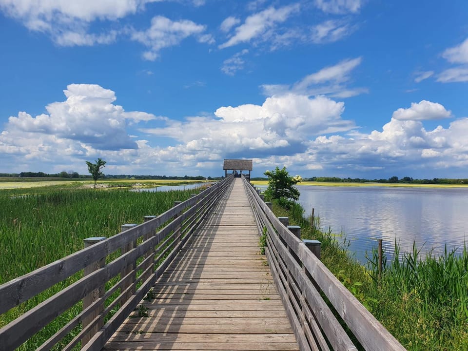 Natural landscape, Lake view