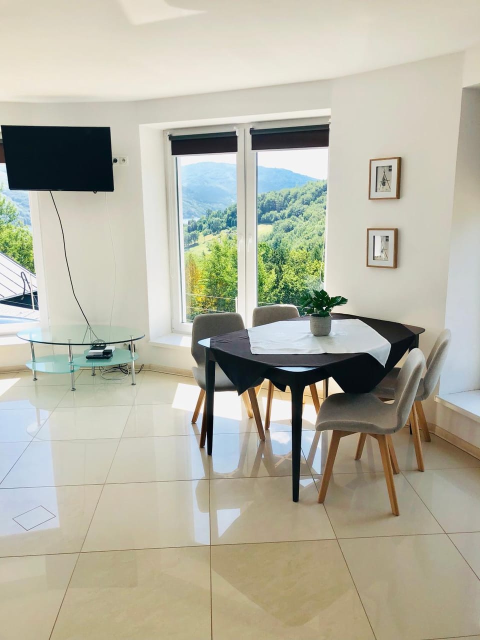 Mountain and Lake Views beautiful Miedzybrodzie Apartment in Lesser Poland Voivodeship