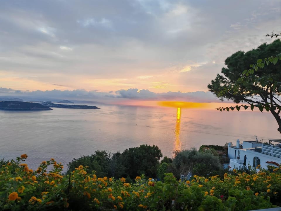 La Pergola del Torchio Bed and Breakfast in Ischia