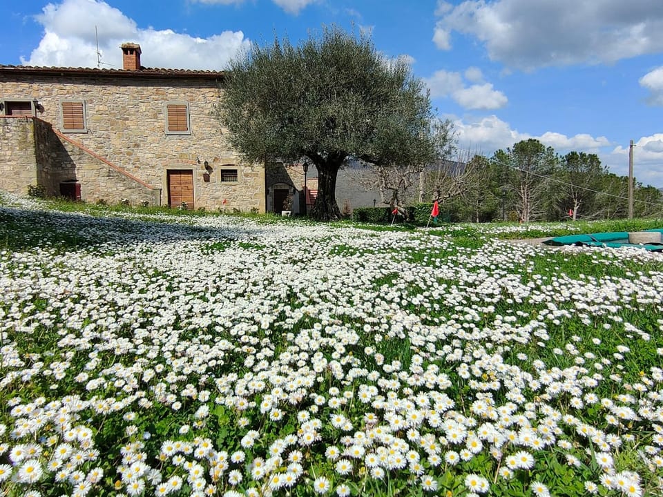 Casale Le Sette Vene Villa in Umbria