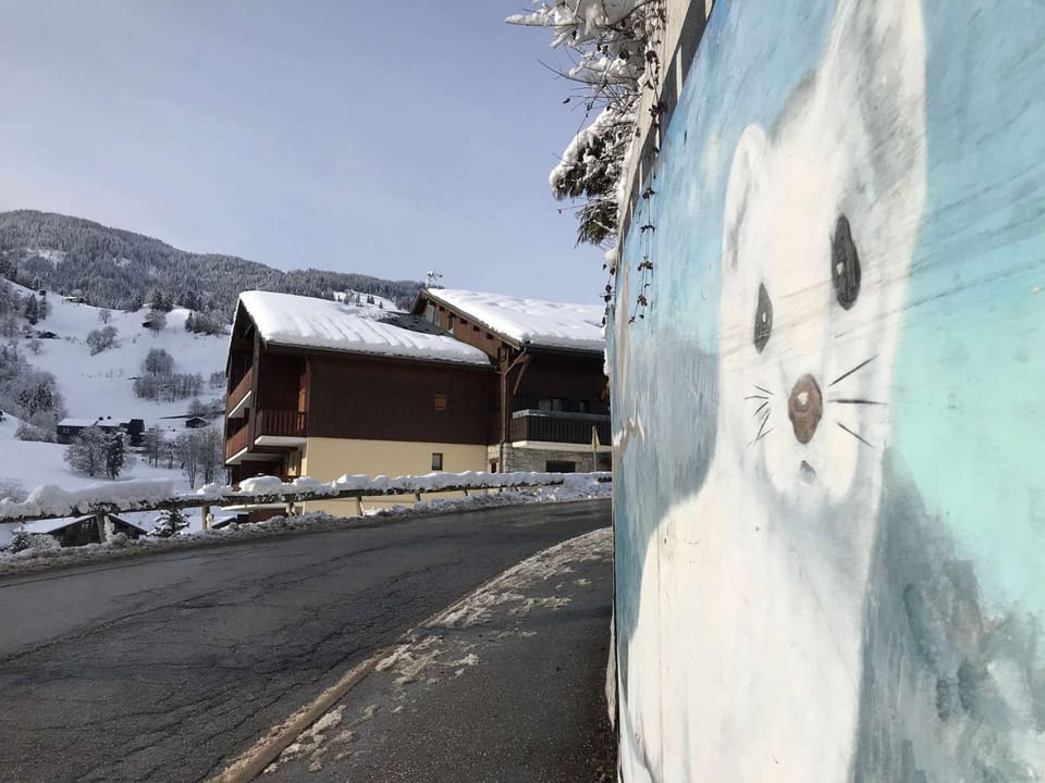 Duplex 4/5 pers., centre Arêches-Beaufort, piscine, proche commerces et pistes - FR-1-342-142 Apartment in Haute-Savoie