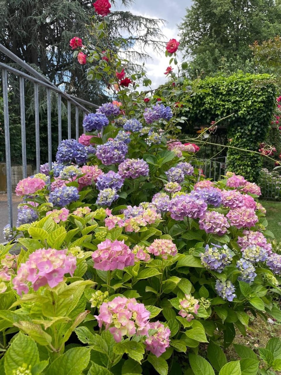 Spring, Garden