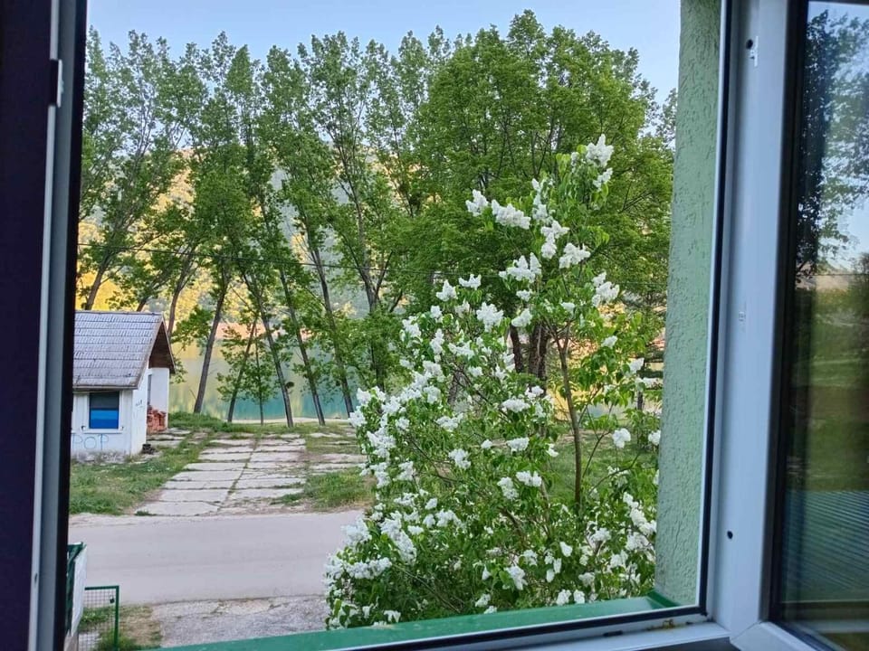 Apartmani Lazić Apartment in Montenegro