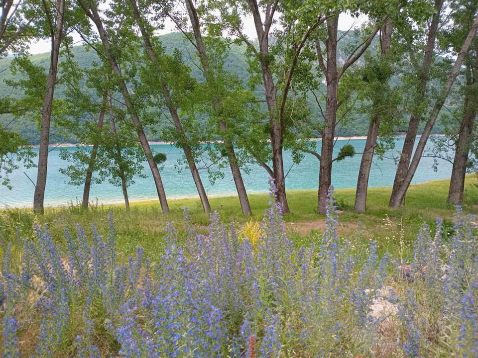 Spring, Day, Natural landscape, Beach, Lake view, Lake view, Mountain view