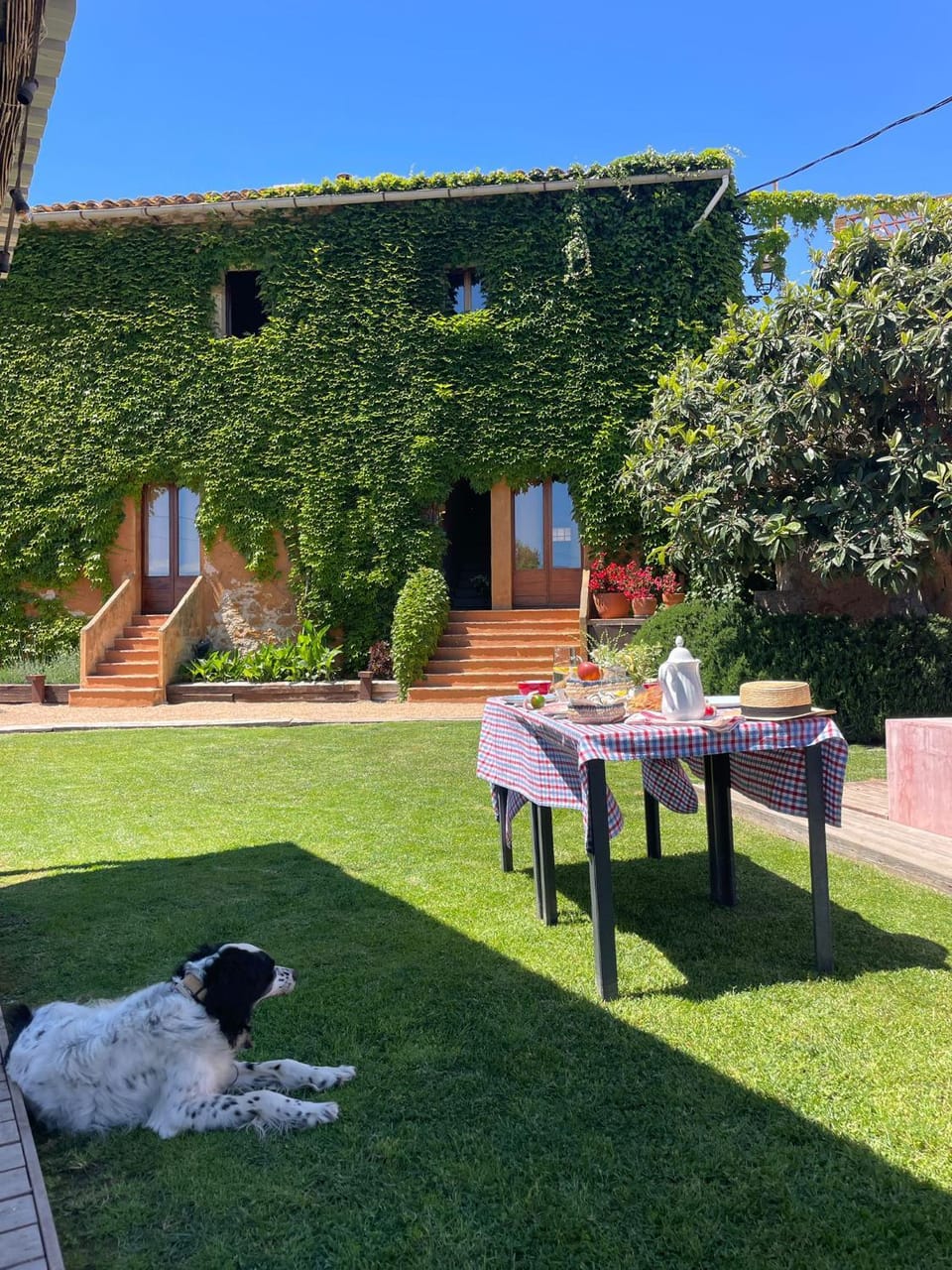 Property building, Garden