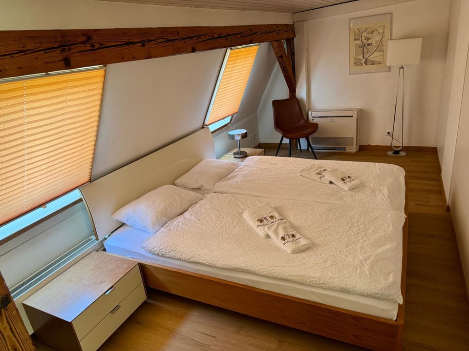 Residence Mutschellen Apartment in Zurich City