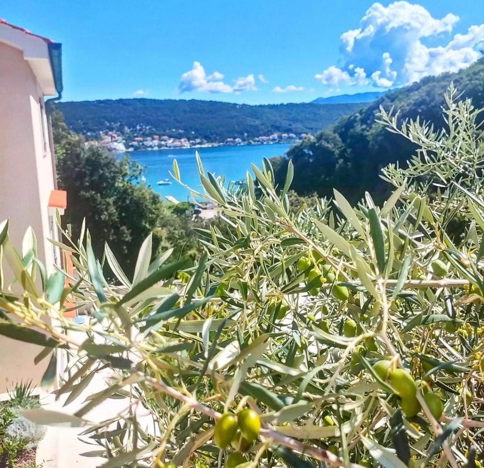 Day, Natural landscape, Mountain view, Sea view