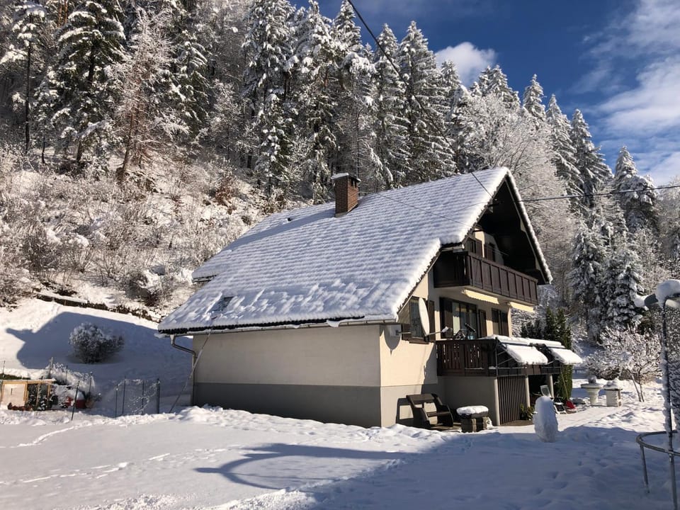 SavaDolinka House ID 116O7O Apartment in Carinthia, Austria