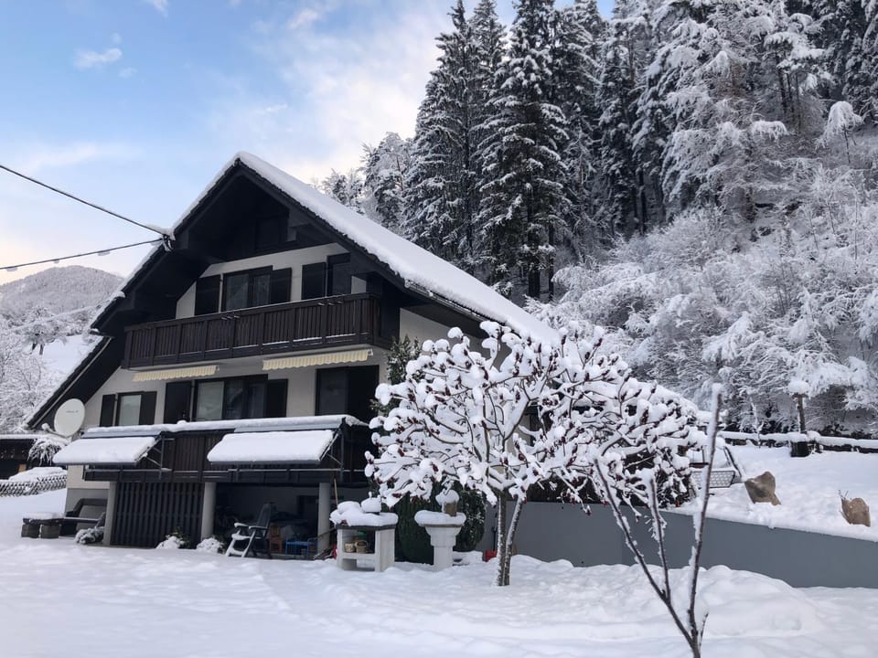 SavaDolinka House ID 116O7O Apartment in Carinthia, Austria