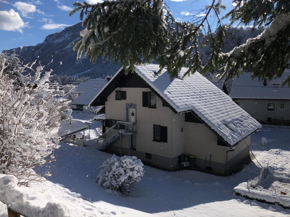 SavaDolinka House ID 116O7O Apartment in Carinthia, Austria