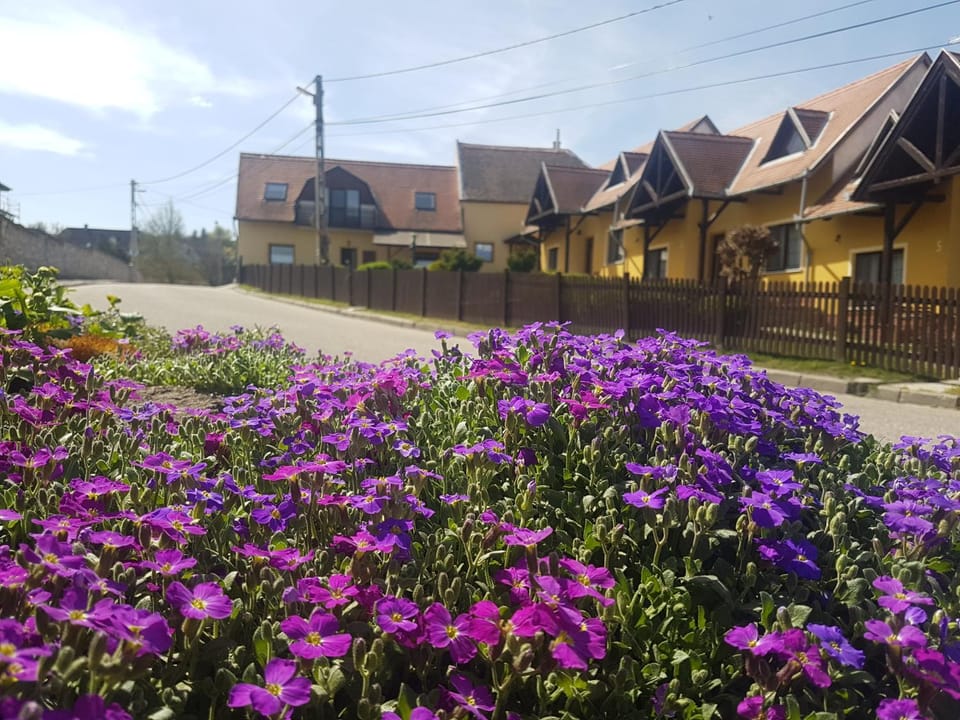 Huber Panzió Bed and Breakfast in Hungary