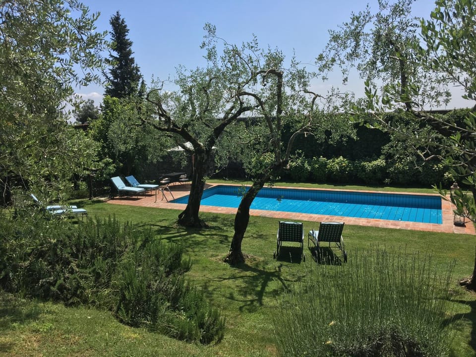 Garden, Swimming pool