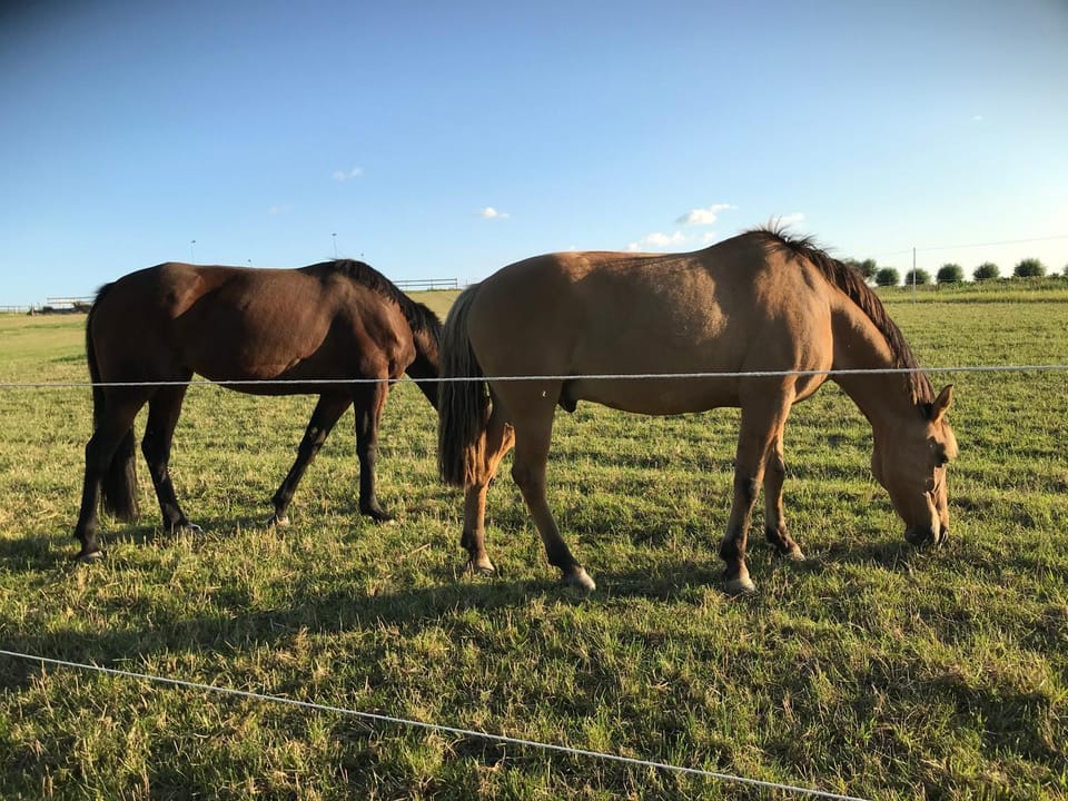 Glamping och Gårdslägenhet Mellan himmel och hav Apartment in Skåne County