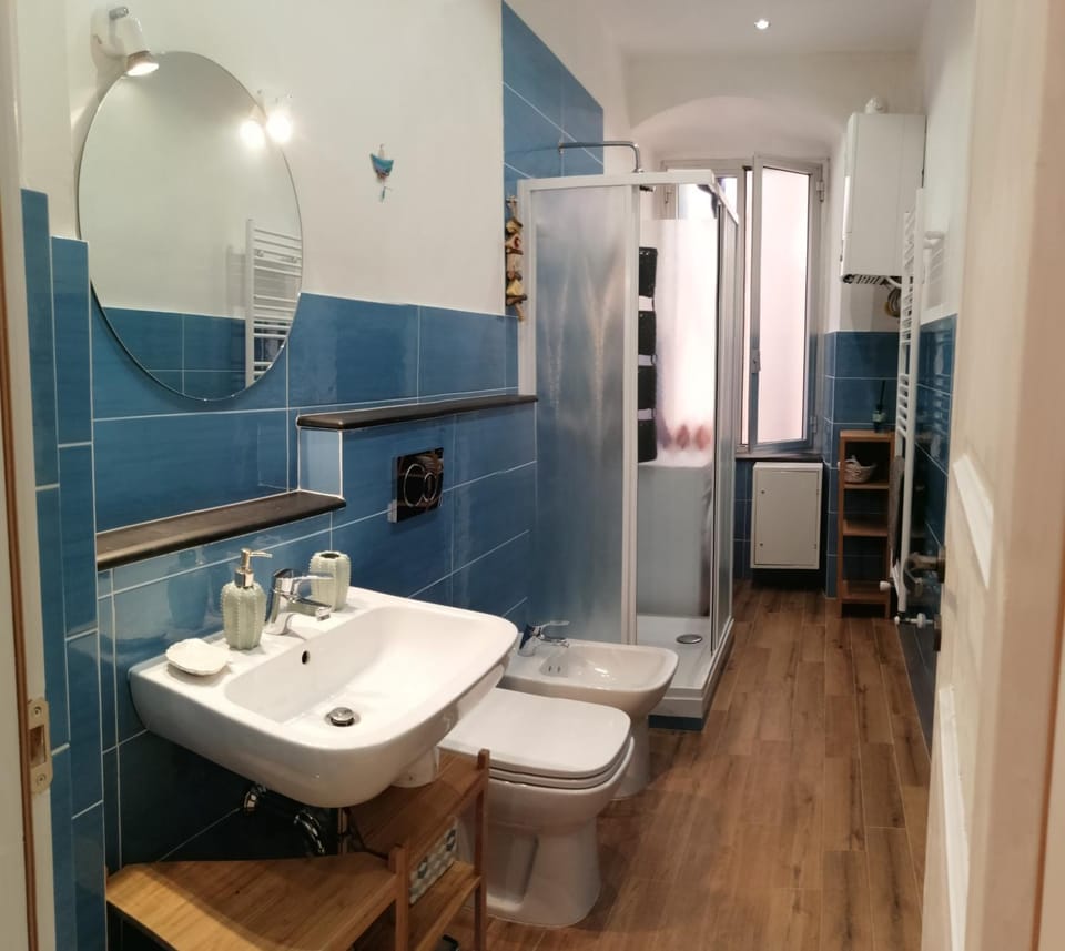 Shower, Toilet, Bathroom, bidet