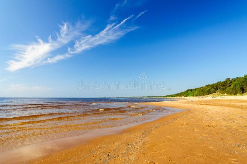 Summer beach house House in Latvia
