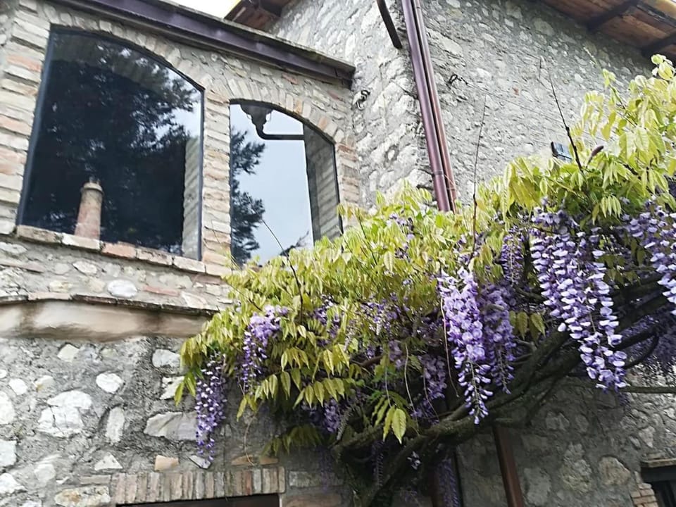 Patio, Decorative detail