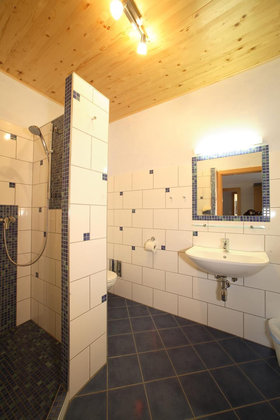 Shower, Toilet