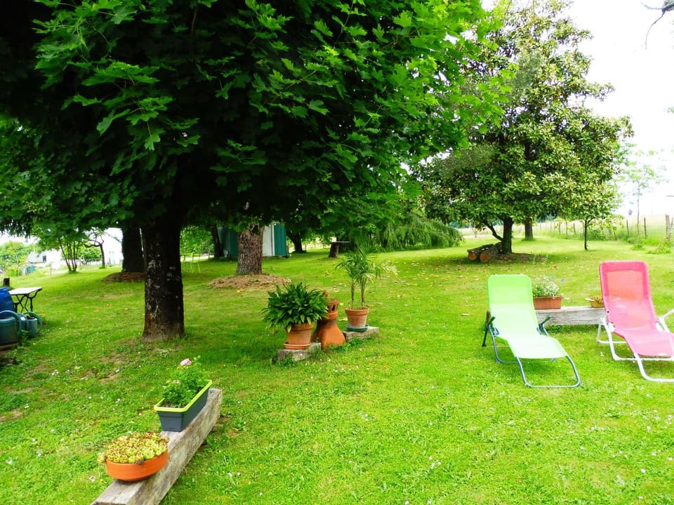 Natural landscape, Garden view
