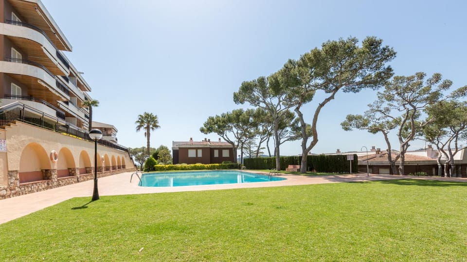 Patio, Garden, Garden view