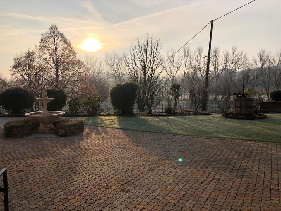 Winter, Garden, Sunrise