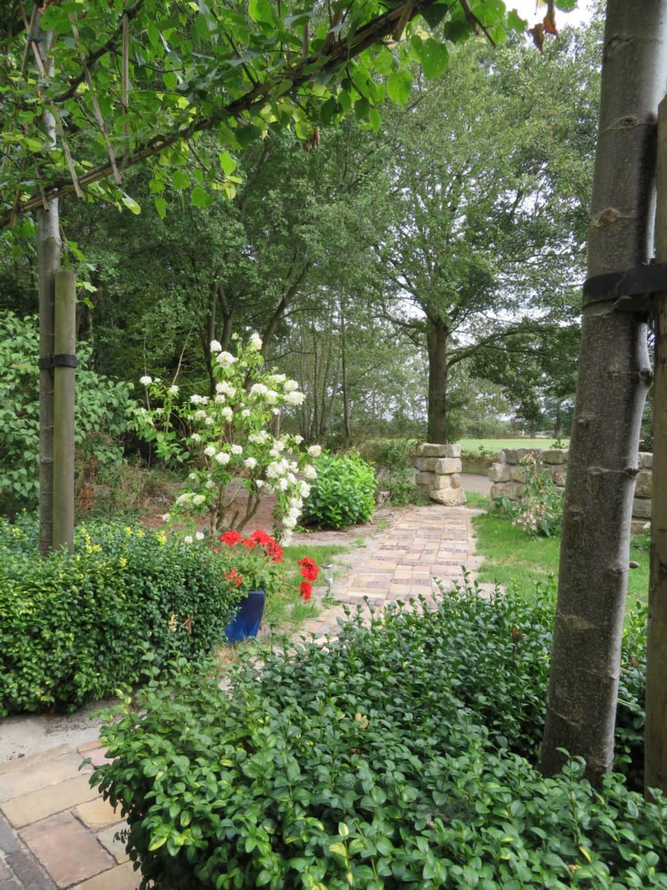 Garden, Garden view
