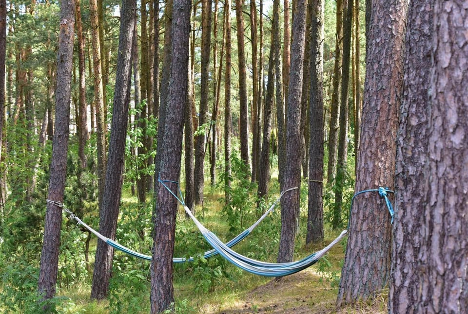 Natural landscape, On site