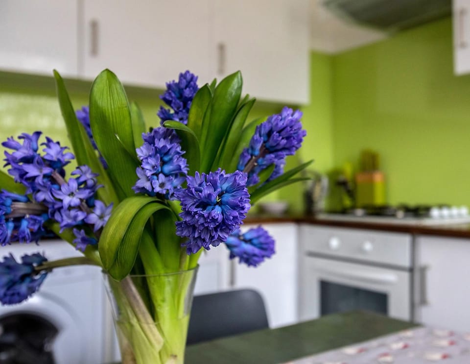 St Paul 214 Apartment in London Borough of Islington