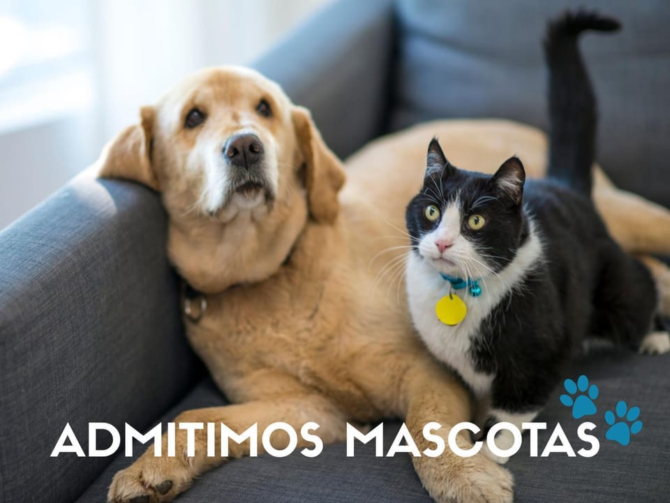 Pets