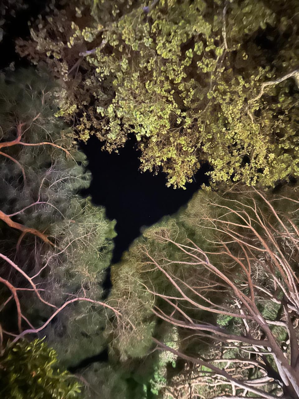 Hôtel Beau Rivage Hotel in Le Lavandou