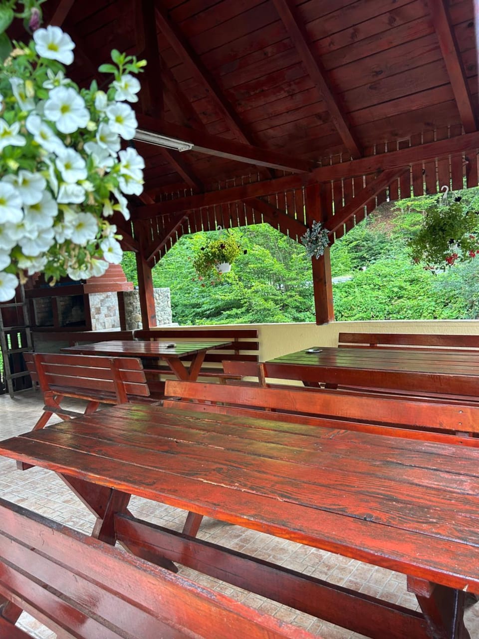 Casa Ursu Nature lodge in Romania