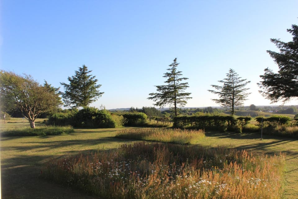 Natural landscape