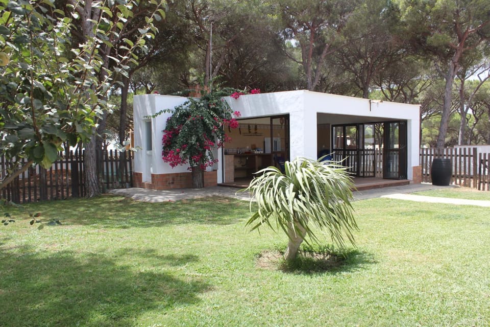 Garden, Swimming pool