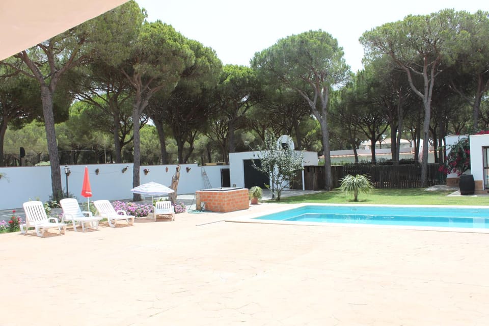 Swimming pool, Swimming pool